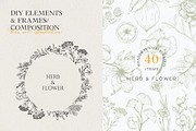 Herb & Flower Line Art in Vector, an Illustration by Manimanisa (Thumbnail 3 of 8)