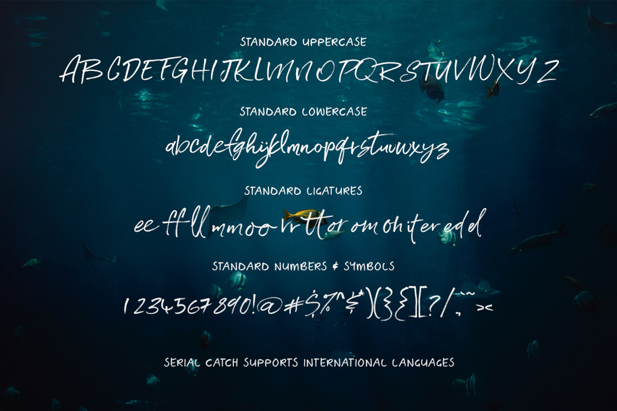Serial Catch Font, a Script Font by Creativeqube Design (Photo 16 of 22)
