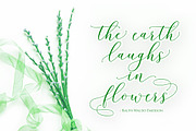 Honduras Script, a Script Font by Gatype (Thumbnail 2 of 7)