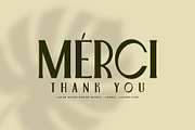 Leonis - Luxury Font, a Serif Font by Snape Design Studio (Thumbnail 12 of 12)