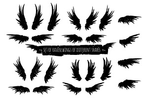 Raven Wings Silhouette Set