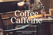 Adorable Memories - Nostalgic Serif, a Serif Font by TypeFounder (Thumbnail 3 of 10)