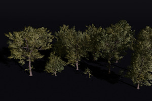 Alder Tree Set, a Plants & Tree 3D Model by FuturePastCreatives
