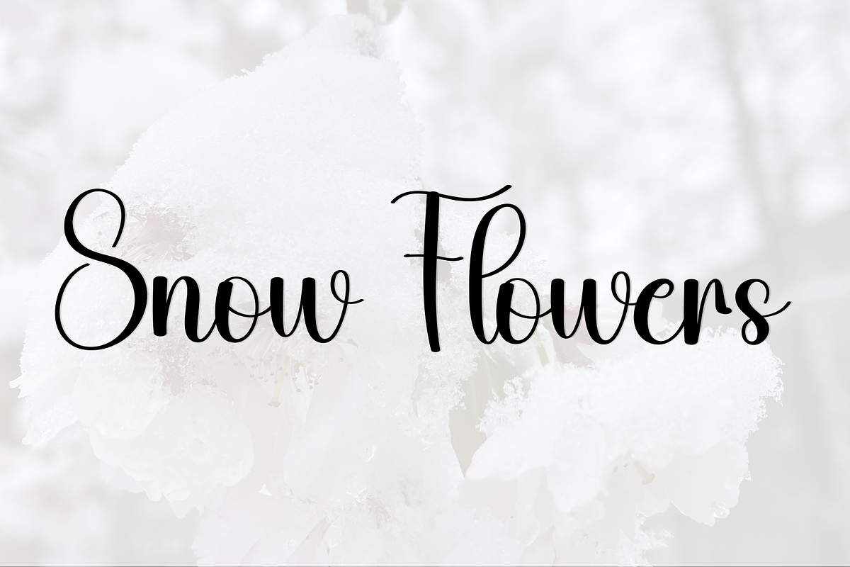 Wonderful Snowing, a Handwritten Font by FreshTypeINK (Photo 7 of 8)