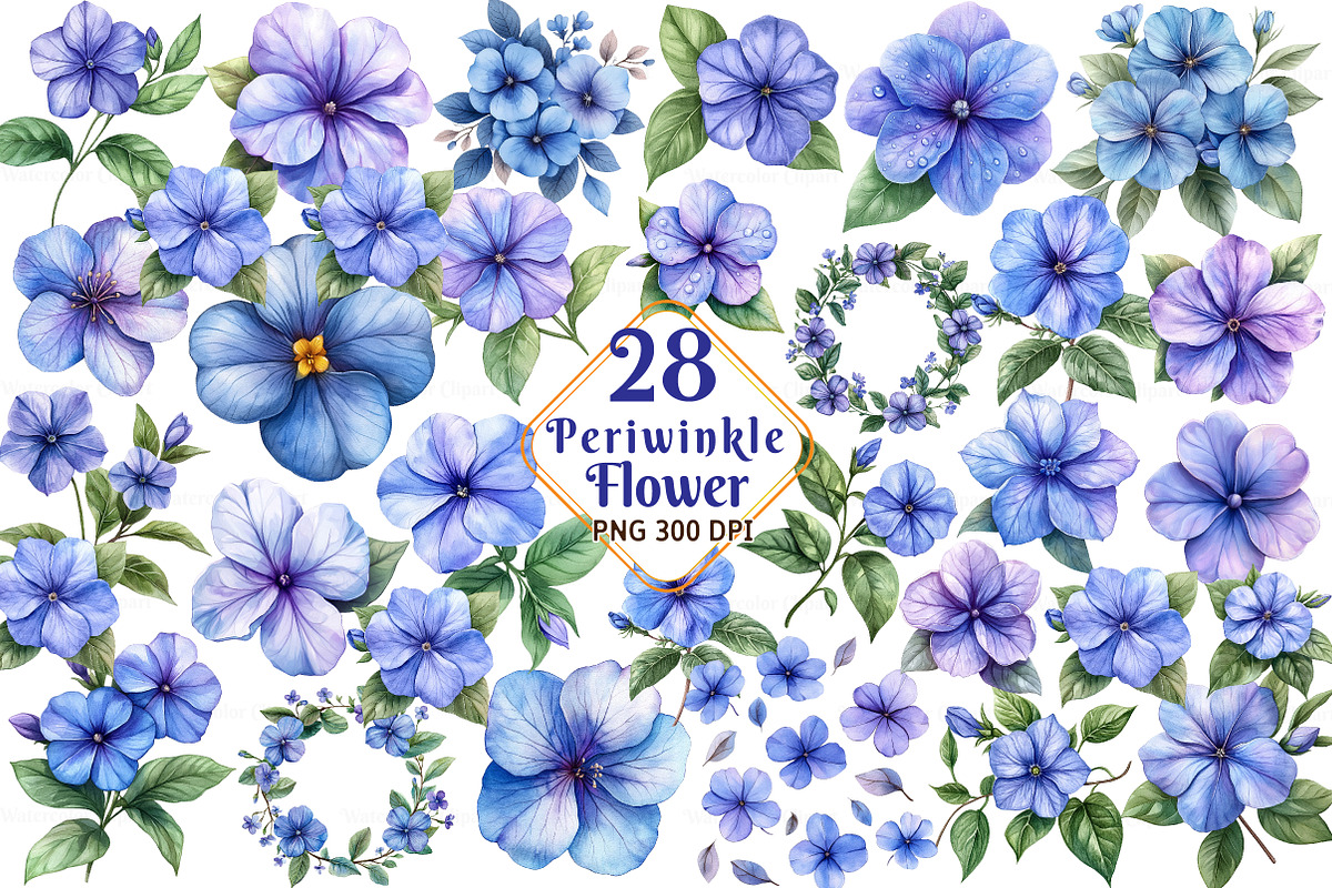 Periwinkle Flower Watercolor Clipart, an Illustration by Watercolor design (Photo 1 of 3)