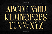 Xeola - Modern Logo Font, a Serif Font by Nirmana Visual (Thumbnail 7 of 10)