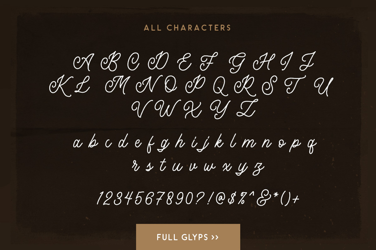 Headley - Vintage Font Duo (30% OFF), a Script Font by Sarid Ezra (Photo 9 of 10)