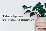Bachon - Elegant Ligature Serif, a Serif Font by Luna Shop (Thumbnail 3 of 8)