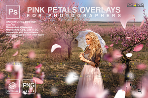 PINK Rose Petals photo overlays