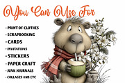Summer Funny Capybara Clipart, an Illustration by CreationArt (Thumbnail 4 of 7)