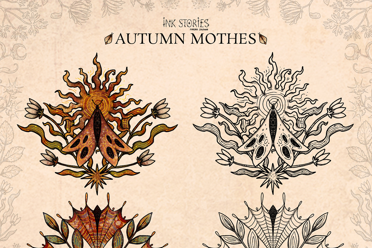 Autumn Moths & Dried Botanicals, an Animal Illustration by Ink Stories (Photo 9 of 18)