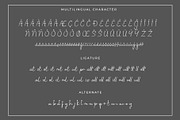 Alisar Modern Script Font, a Script Font by Bilahstudio (Thumbnail 12 of 12)