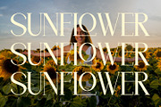 Velrasca - Serif Typeface Font, a Serif Font by Rishsketch (Thumbnail 9 of 15)