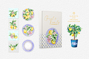 LEMONS Watercolor clipart set, an Object Illustration by GevelStudio (Thumbnail 9 of 16)