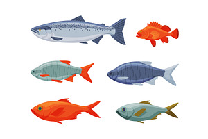 River or Freshwater Fish as Seafood, an Animal Illustration by TopVectors