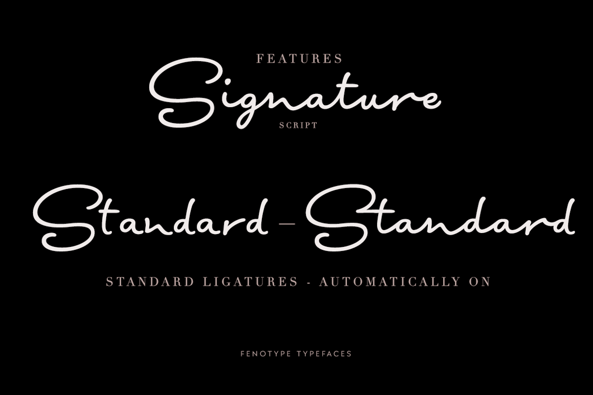 Signature Script Intro Sale preview 6
