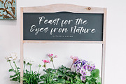 Rustling Kingdom Modern Script Font, a Script Font by Letterena Studios Script (Thumbnail 7 of 15)