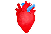 Human Internal Organs Clipart, a Healthcare Illustration by the_myro (Thumbnail 10 of 11)