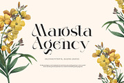 Norger Elegant Serif Font, a Sans Serif Font by Perfectype (Thumbnail 2 of 8)