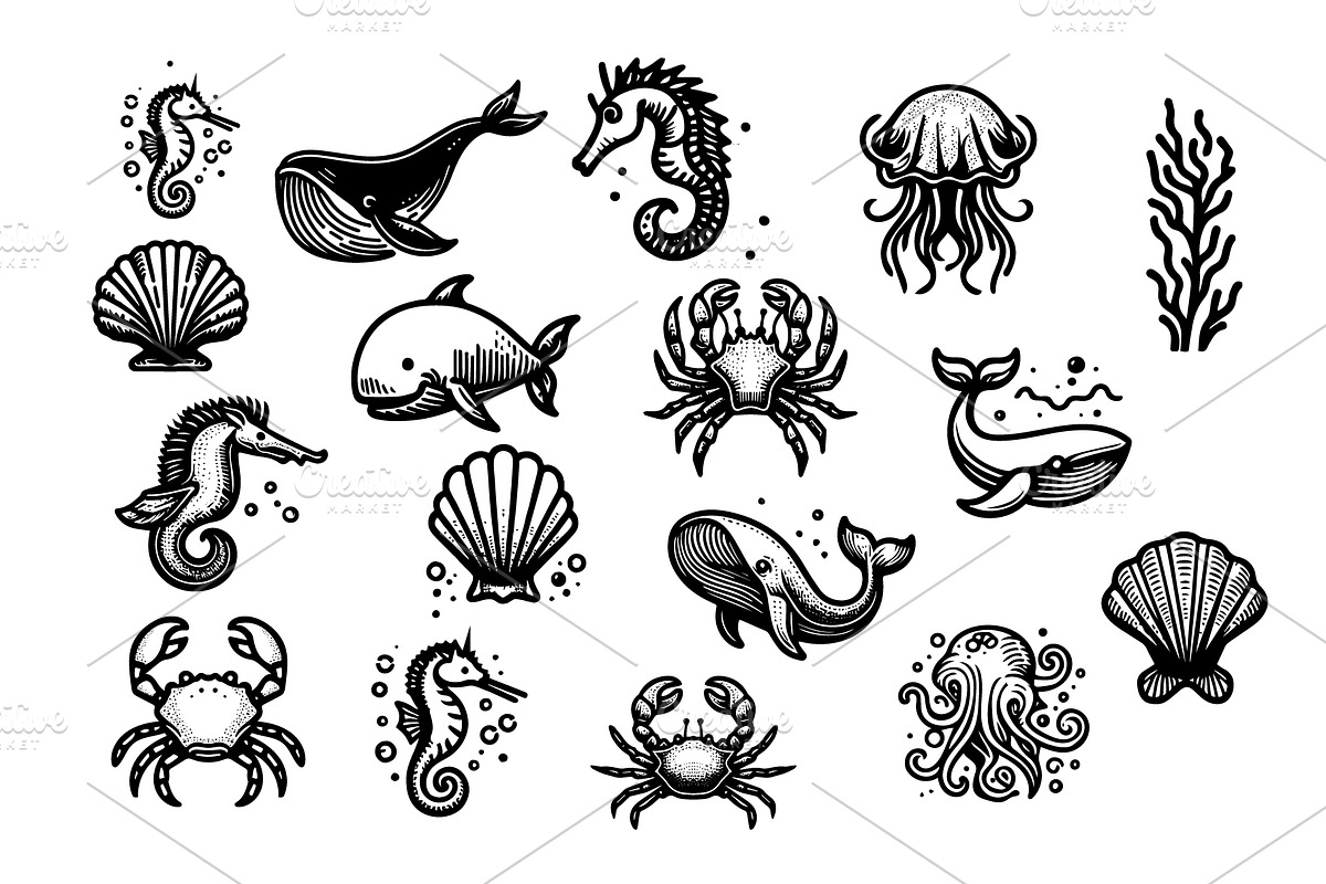 Sea Creatures set, an Object Graphic by e-artdesign
