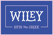 Wiley Decorative Latin & Greek Font, a Slab Serif Font by Molly Suber Thorpe (Thumbnail 1 of 16)