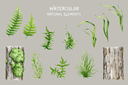 Mushrooms Watercolor Clipart, a Food Illustration by AnitaPol (Thumbnail 10 of 24)