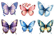 Watercolor Spring Butterfly Clipart, an Illustration by Daily.Designs (Thumbnail 4 of 5)