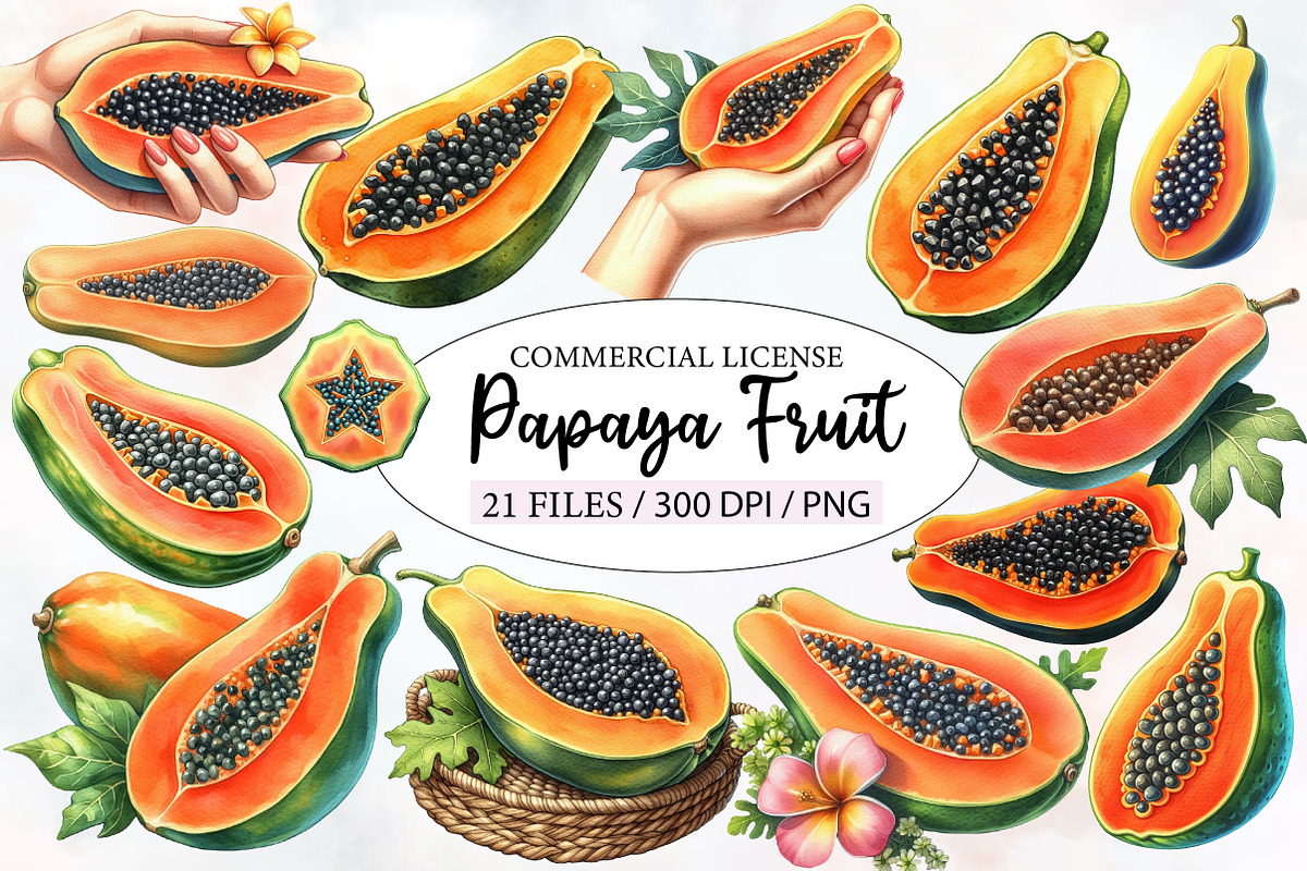 Watercolor Papaya Fruit Clipart, an Illustration by Designworld (Photo 1 of 6)