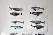 In love with watercolor Ocean, an Animal Illustration by KatBranchArt (Thumbnail 7 of 7)