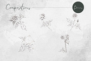 Heritage tea roses, a Decorative Illustration by MsFlaffy (Thumbnail 7 of 14)