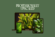 160 Plant Leaves Stock Photos, a Nature Photo by Incomelion (Thumbnail 4 of 15)