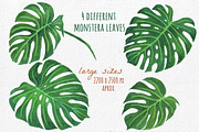 Tropical Clipart - Hand painted, a Decorative Illustration by MaraquelaStudio (Thumbnail 2 of 8)