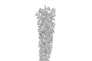 Wisteria, an Environmental 3D Model by AndrewWhite (Thumbnail 10 of 10)