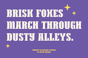 Mestosa - Funky Slab Serif, a Serif Font by Tiptop Graphic (Thumbnail 2 of 10)