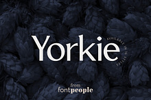 Yorkie font family by Fontpeople