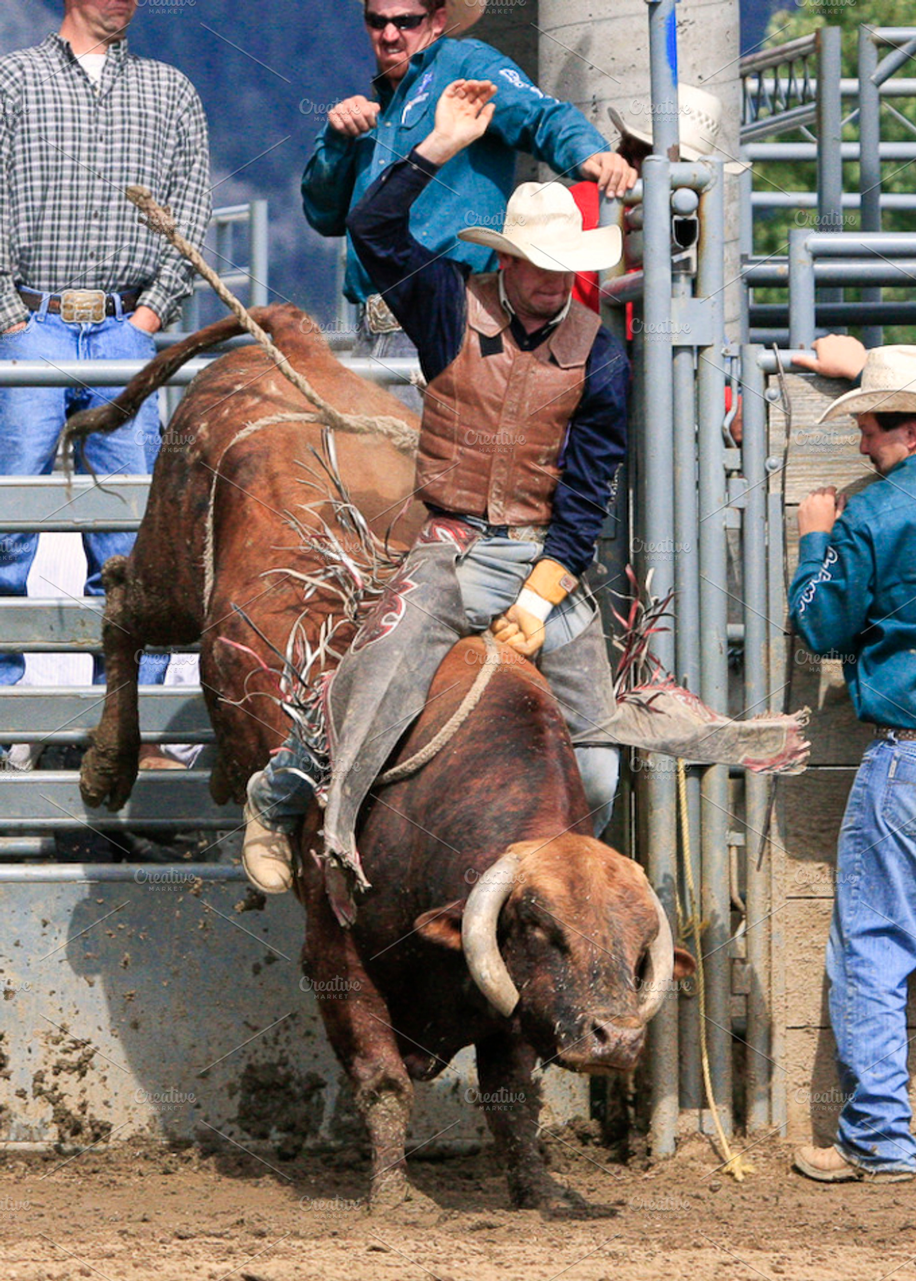 Bull riding stock photo containing bull and animal, a Sports & Recreation Photo by RodeoPixels WesternImage
