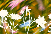 +38 Petal Haze Dreamy Blurred Flower, a Background Graphic by The Journey Atelier (Thumbnail 15 of 17)