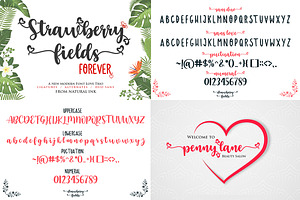 The Great Collection Font Bundles