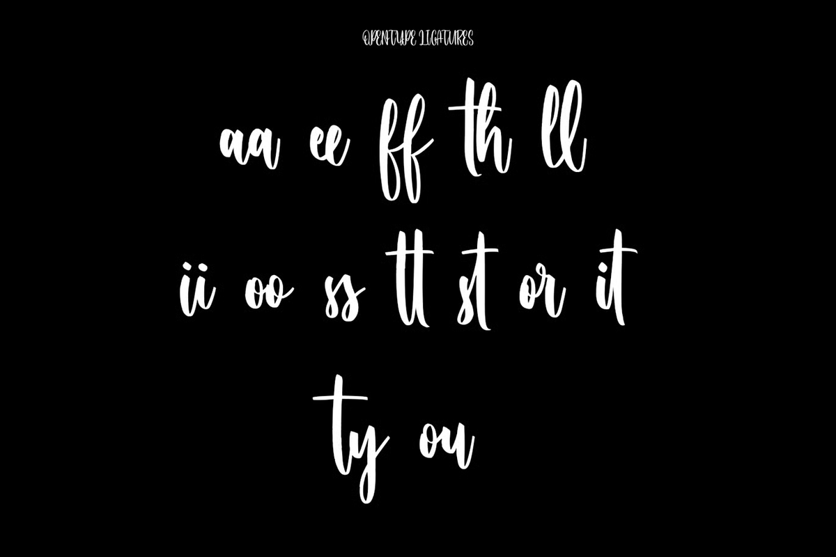 Hushpites Condensed Script Font, a Script Font by MACK 75 (Photo 7 of 8)