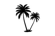 Palm Tree Vector Bundle Pack, an Illustration by Artivon (Thumbnail 17 of 20)
