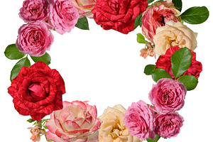A wreath composed of roses in various shades, from soft pink and, a Nature Photo by ndanko