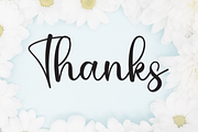 Flowers Zanitha | Script Font, a Handwritten Font by Scratchones (Thumbnail 8 of 8)