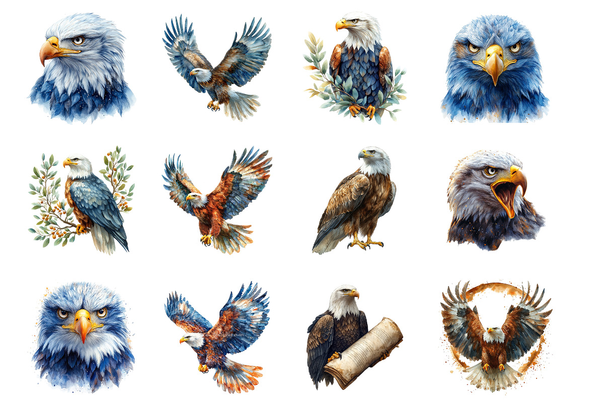 Watercolor Eagles Clipart, an Illustration by SinaCreation (Photo 2 of 5)