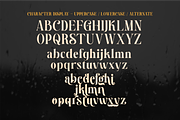 Endbrium - A Modern Serif Display, a Serif Font by zamjumps (Thumbnail 10 of 12)