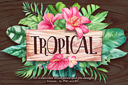 Tropical. Watercolor illustrations., a Decorative Illustration by AlexGreenArt (Thumbnail 1 of 12)