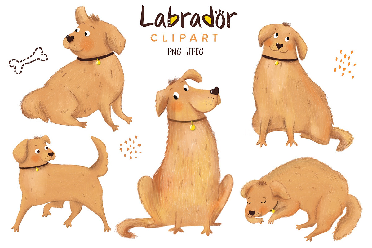Labrador clipart, an Animal Illustration by Olga Brinza (Photo 1 of 3)