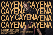 Cayena - Modern Serif, a Serif Font by Astuti Studio (Thumbnail 8 of 25)