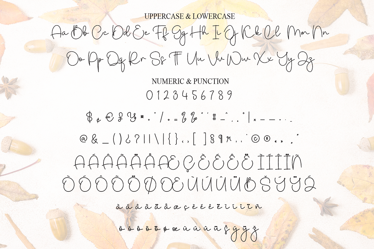 Wonderful September | Script Font, a Handwritten Font by Scratchones (Photo 7 of 8)