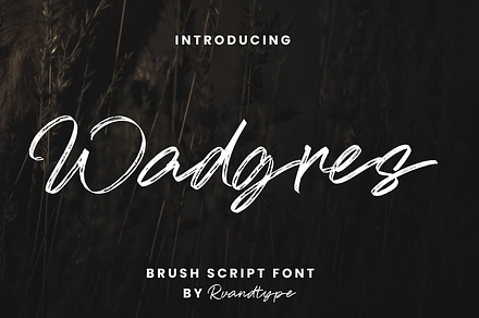 Wadgres - Brush Script Font