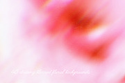 Floral Blurred Backgrounds, a Background Graphic by PaperJamLab (Thumbnail 2 of 13)